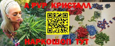 стаф Новозыбков