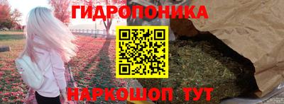 герыч Новодвинск