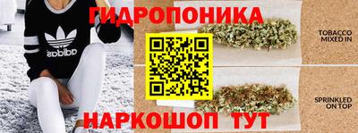 стаф Новозыбков