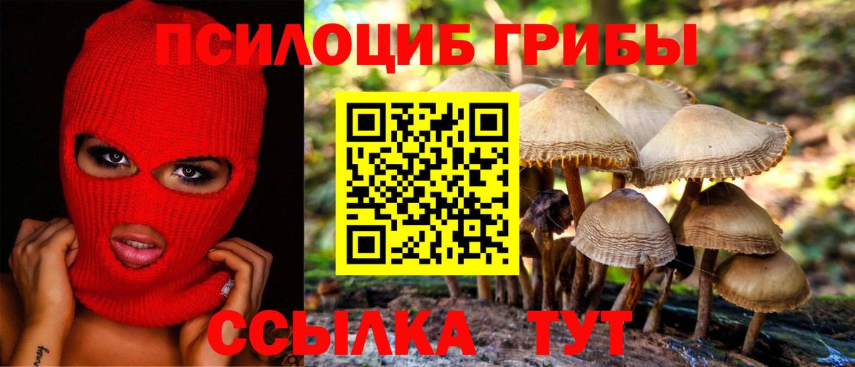 Псилоцибиновые грибы прущие грибы  Псилоцибиновые грибы мицелий  Вход с VPN  Тара 